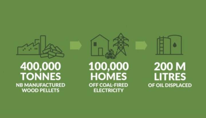 全球48%的木屑顆粒消費(fèi)來自住宅和商業(yè)建筑。從2020年到2021年，歐洲家庭生物質(zhì)消費(fèi)量增長(zhǎng)了18%，商業(yè)應(yīng)用增長(zhǎng)了12.5%。