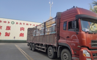 忙碌的五月，忙碌的發(fā)貨，金格瑞顆粒機(jī)生產(chǎn)線發(fā)往全國各地