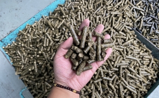 木屑顆粒機(jī)廠家告訴你生物質(zhì)顆粒燃料燃燒不充分的問題，該如何解決?