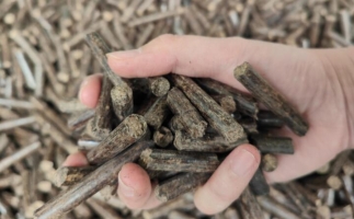 煤炭熱值那么高，為什么還要燒鋸末顆粒機的生物質顆粒燃料？