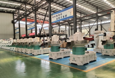 木屑顆粒機(jī)為什么選大不選?。? />
						<div   id=